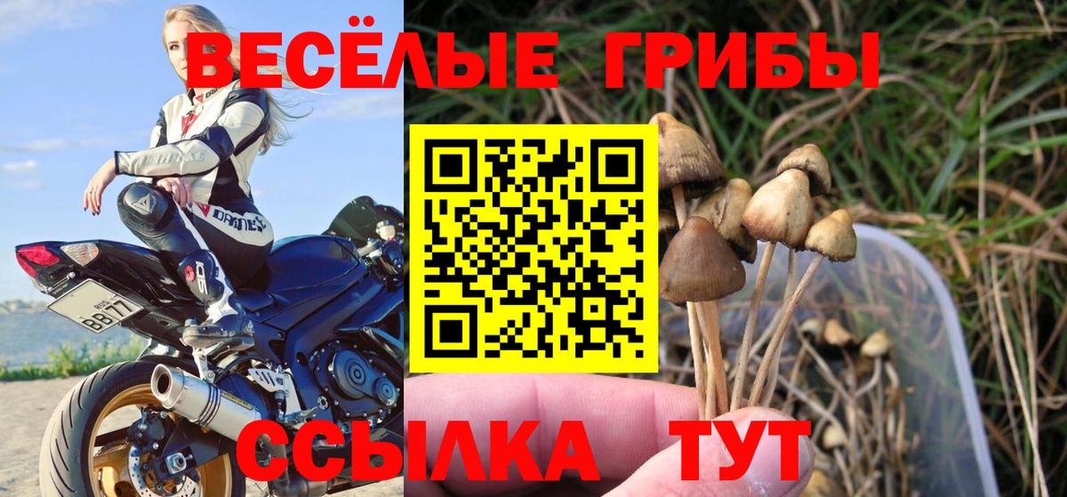 Псилоцибиновые грибы Magic Shrooms  Вход с VPN  хочу наркоту  Рославль 
